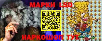 стаф Краснодар