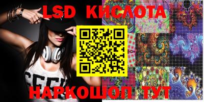 стаф Краснодар