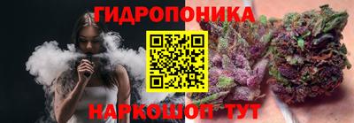 стаф Краснодар
