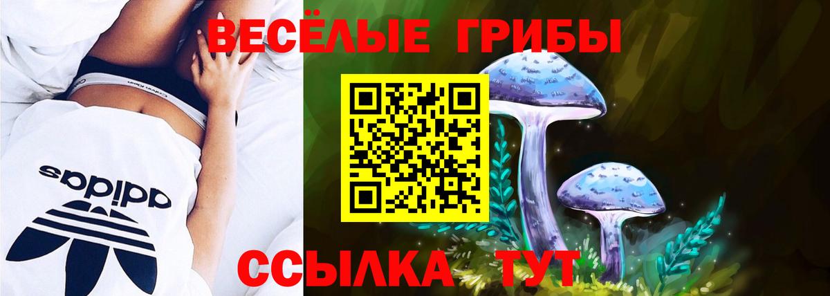 Псилоцибиновые грибы мухоморы  Вход с VPN  Коломна 